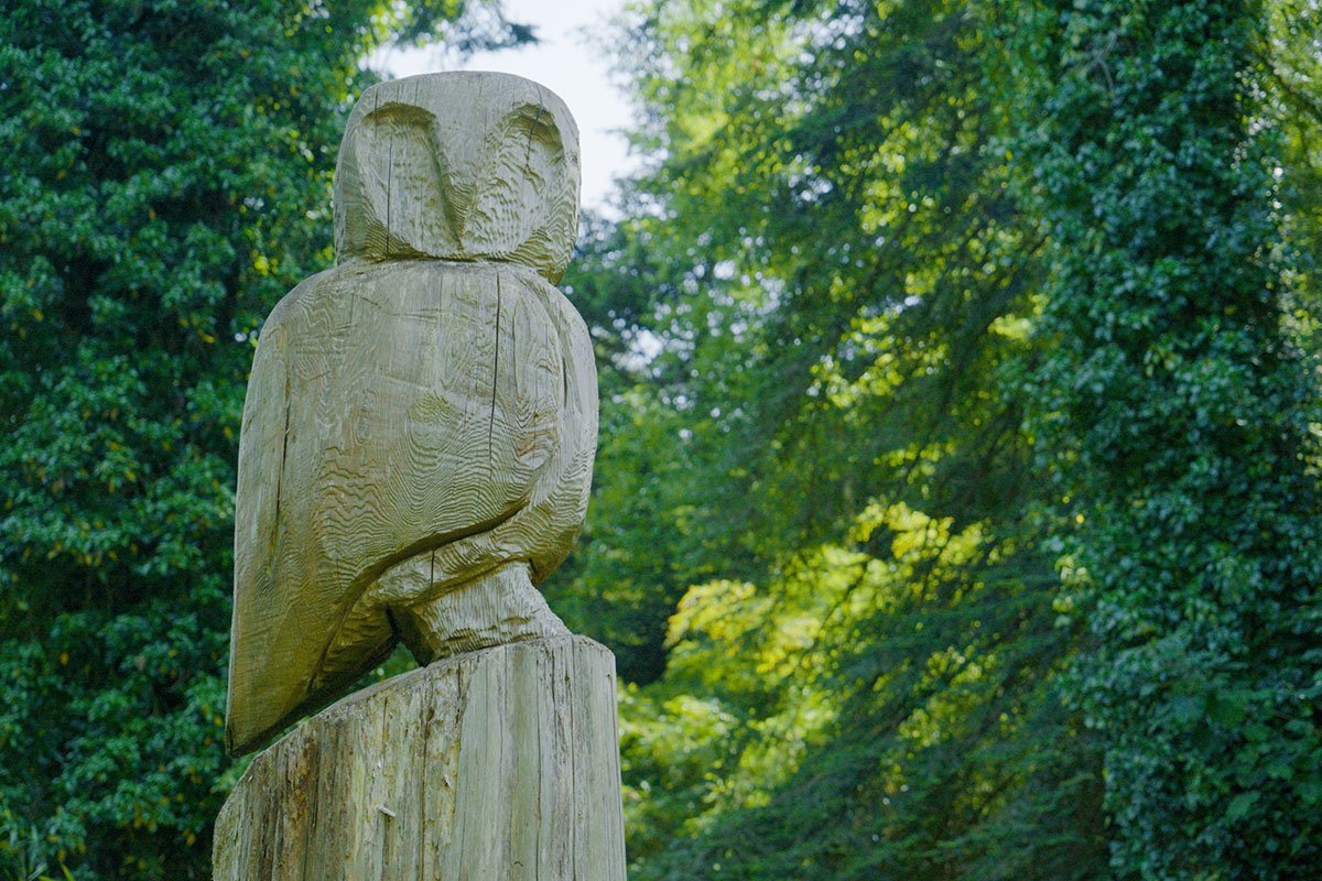 Mae cerflun tylluan bren yn sefyll ar foncyff coeden yng nghanol dail gwyrdd trwchus, gan greu golygfa mor hudolus â dyluniad gwe hunaniaeth brand meddylgar mewn lleoliad awyr agored.